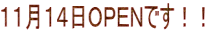 PPPSnodmłII